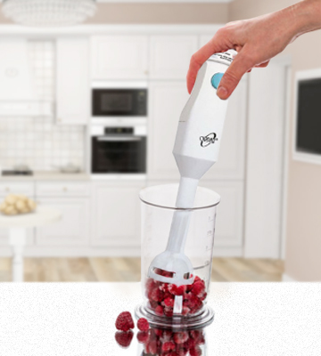 Review of Orpat HHB-100E WOB Hand Blender