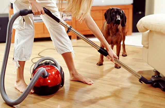 Best Vacuum Cleaners  
